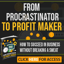 From Procrastinator to  Profit Maker  Learn How to Succeed in Business